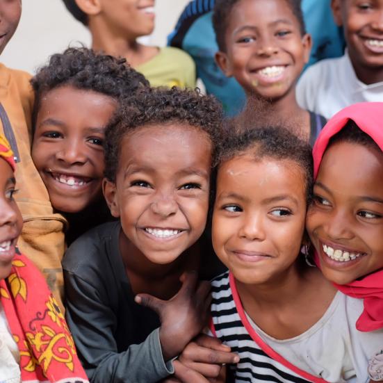 Børnenes Danmarksindsamling