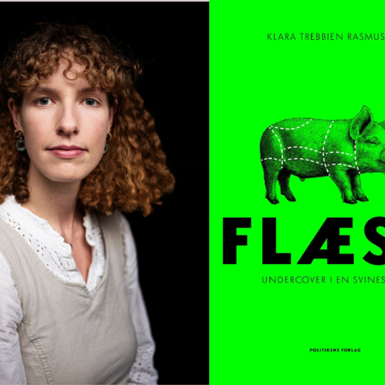 flæsk