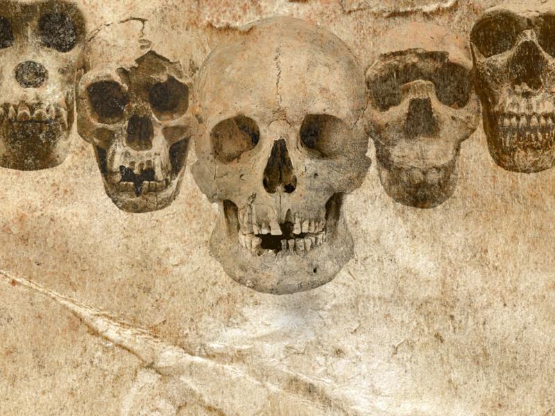 dna-og-fossiler