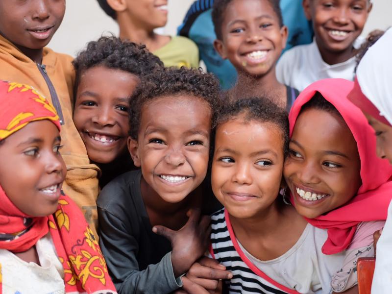 Børnenes Danmarksindsamling